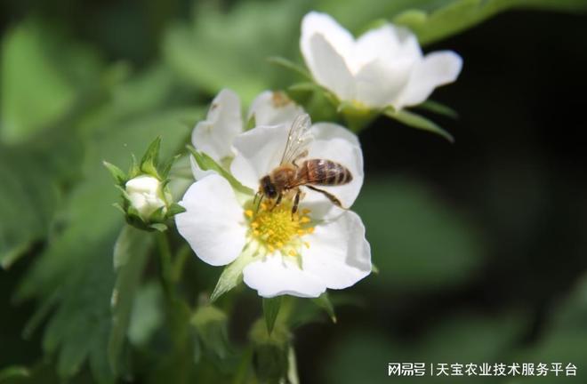 重庆霖通取得三角形截面弯扭构件加工装置专利提高构件散热效率